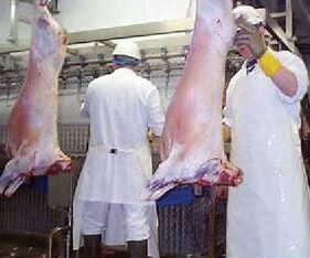 {{brizy_dc_image_alt entityId=