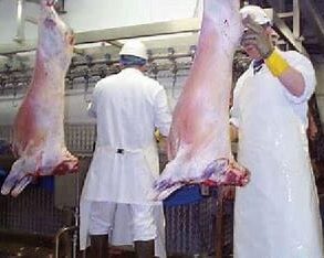 {{brizy_dc_image_alt entityId=